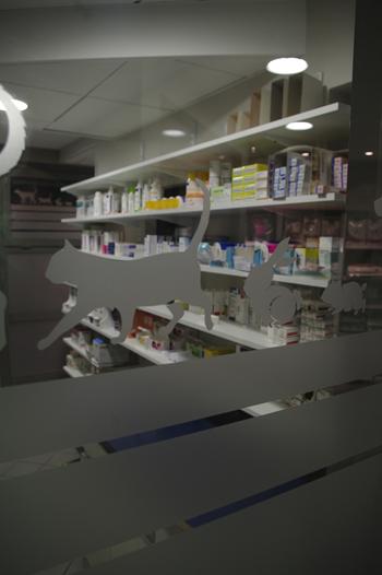 pharmacie reims